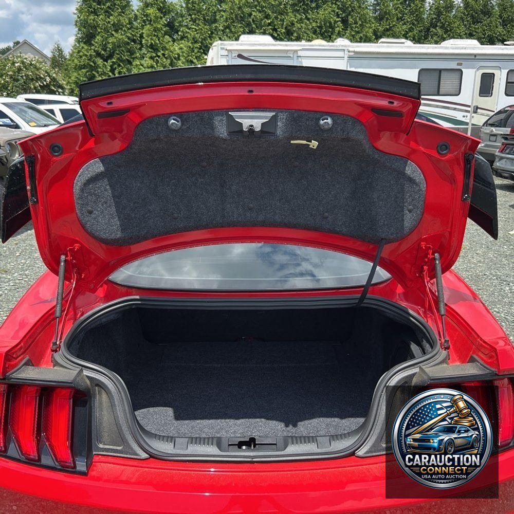 2019 Ford Mustang Shelby GT350R