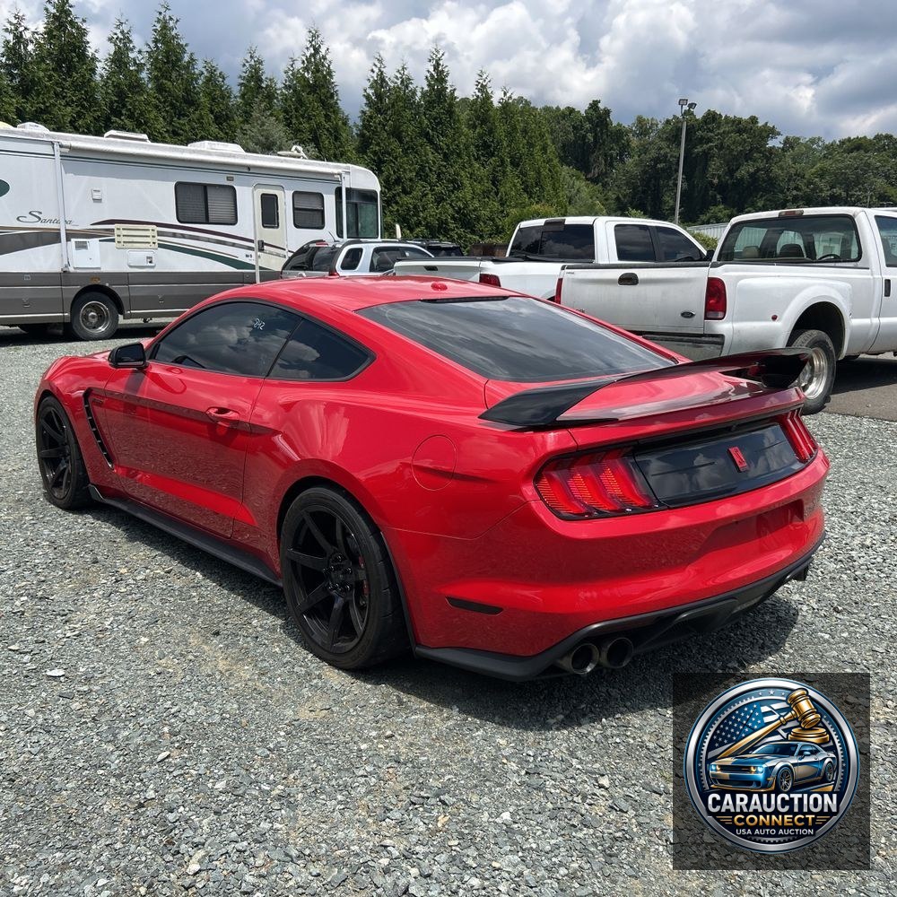 2019 Ford Mustang Shelby GT350R