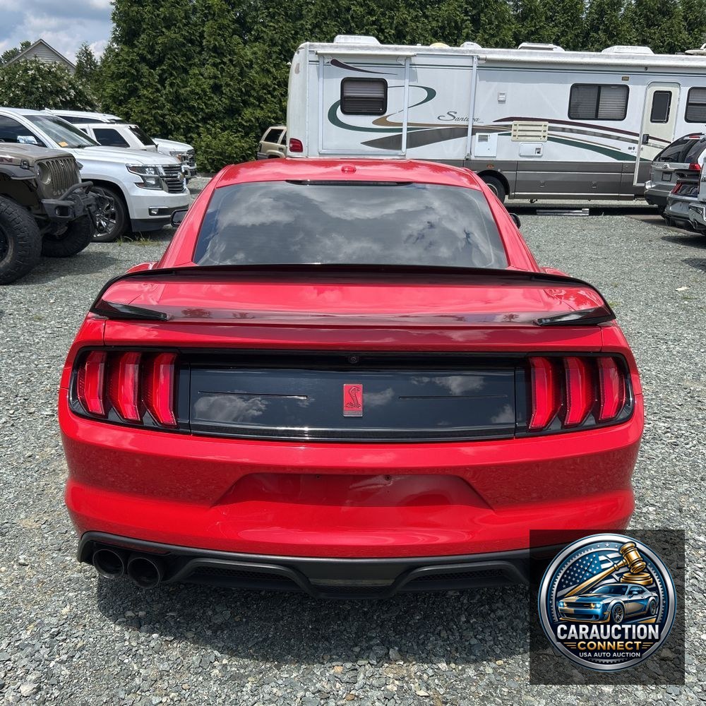 2019 Ford Mustang Shelby GT350R