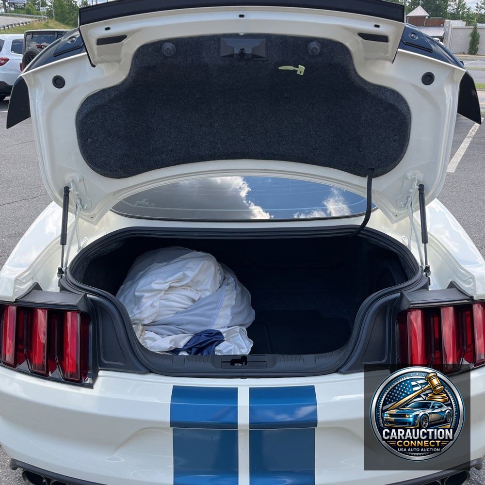 2020 Ford Mustang Shelby GT350