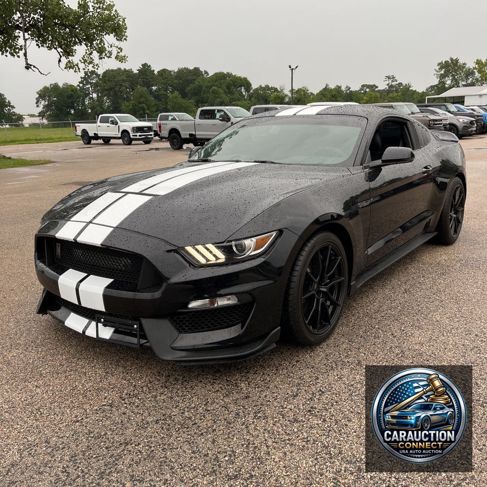 2019 Ford Mustang Shelby GT350