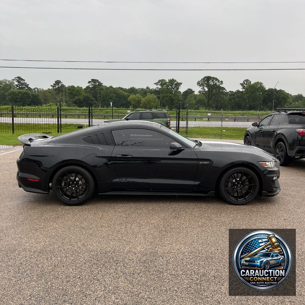 2019 Ford Mustang Shelby GT350