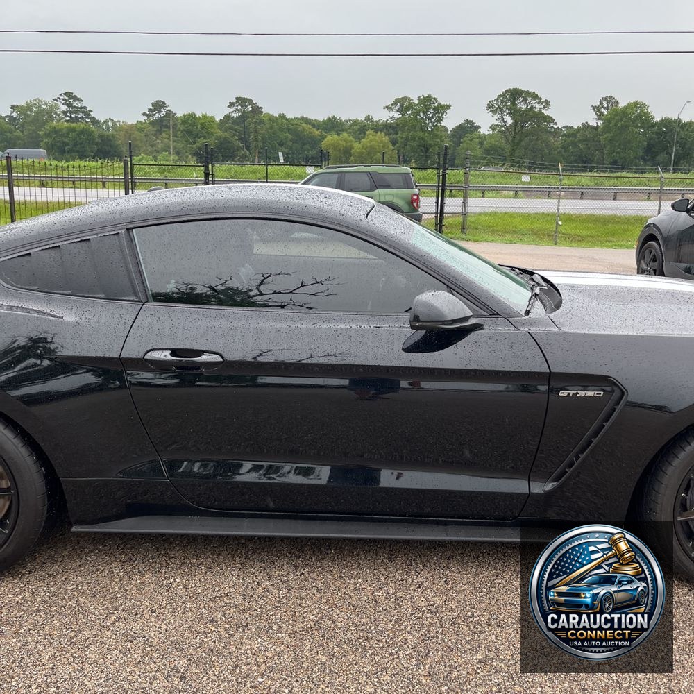 2019 Ford Mustang Shelby GT350