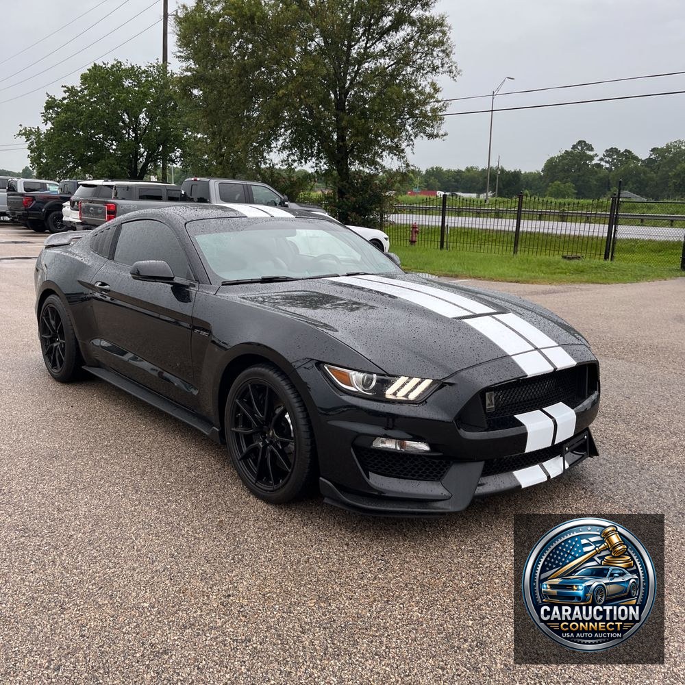 2019 Ford Mustang Shelby GT350
