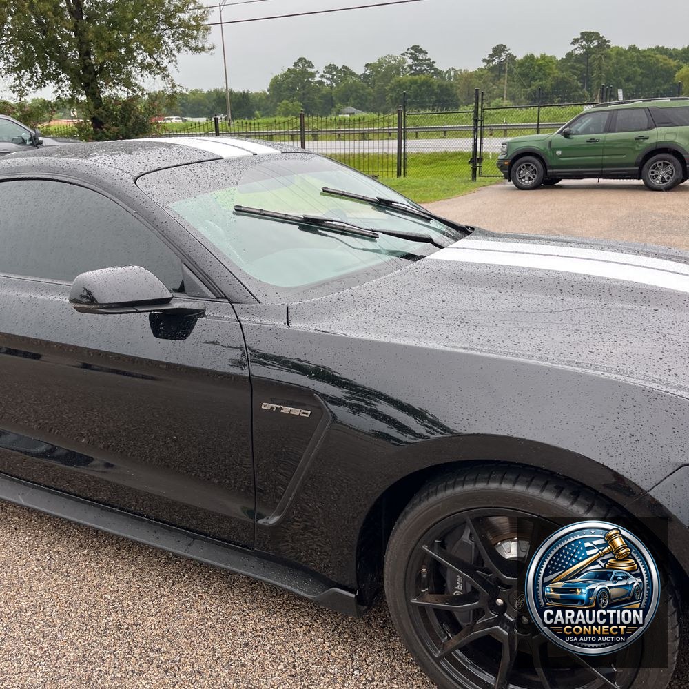2019 Ford Mustang Shelby GT350