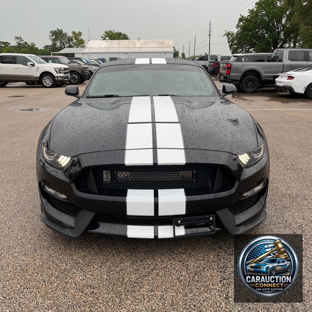 2019 Ford Mustang Shelby GT350