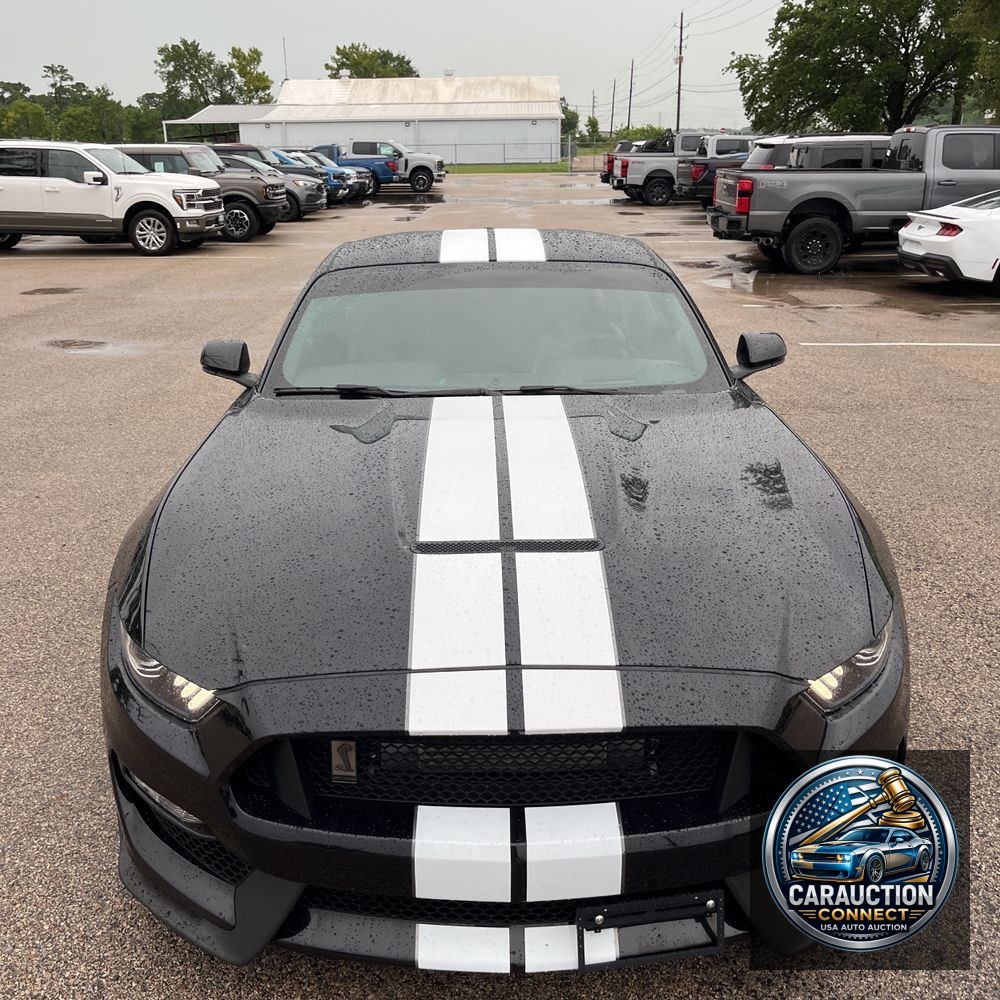 2019 Ford Mustang Shelby GT350
