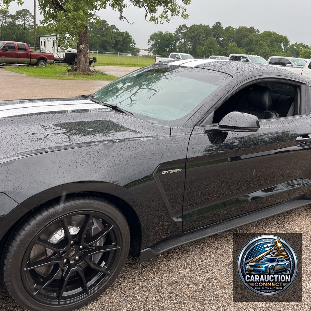 2019 Ford Mustang Shelby GT350