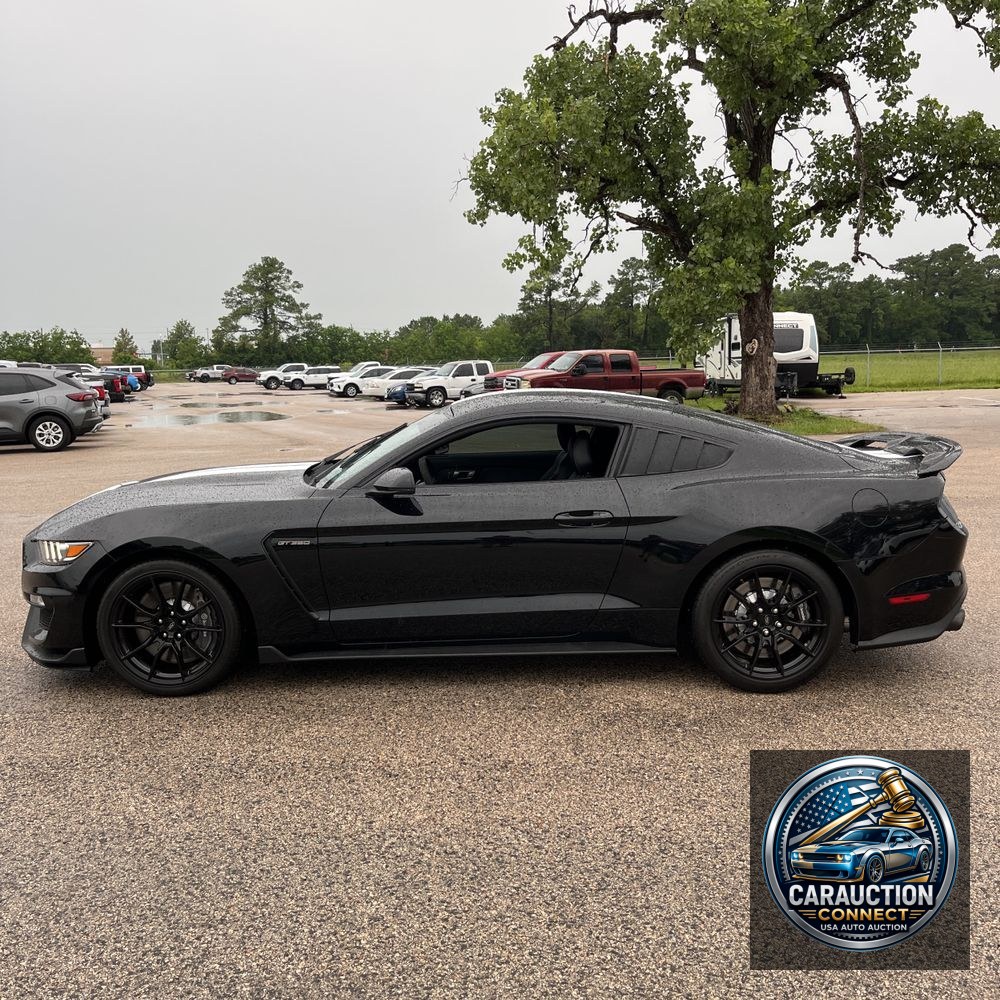 2019 Ford Mustang Shelby GT350