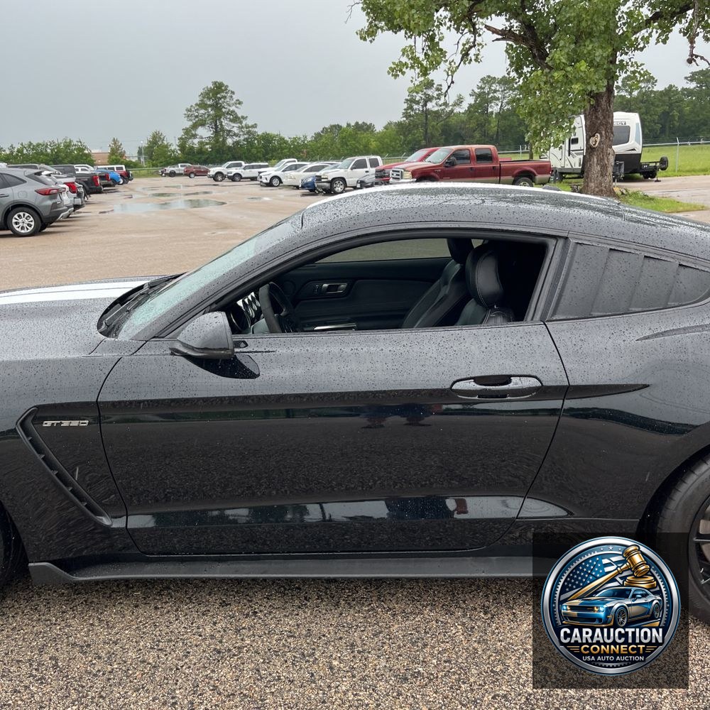 2019 Ford Mustang Shelby GT350
