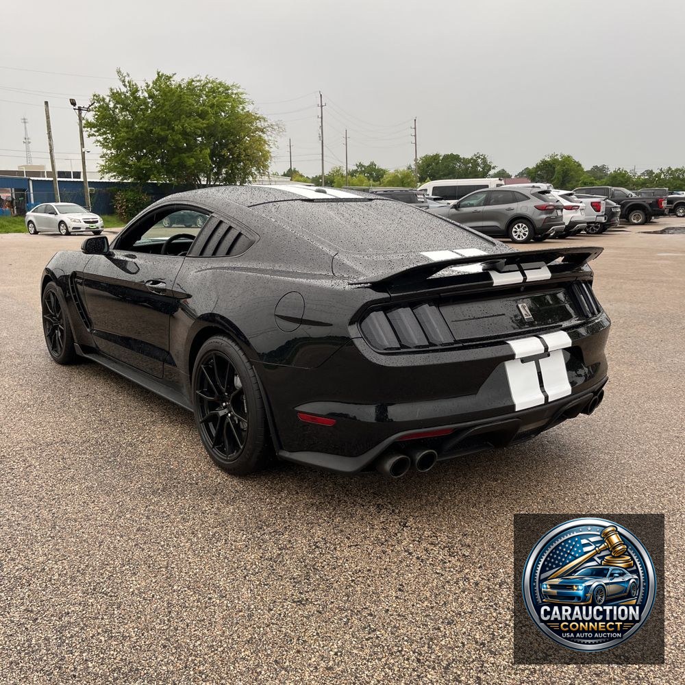 2019 Ford Mustang Shelby GT350
