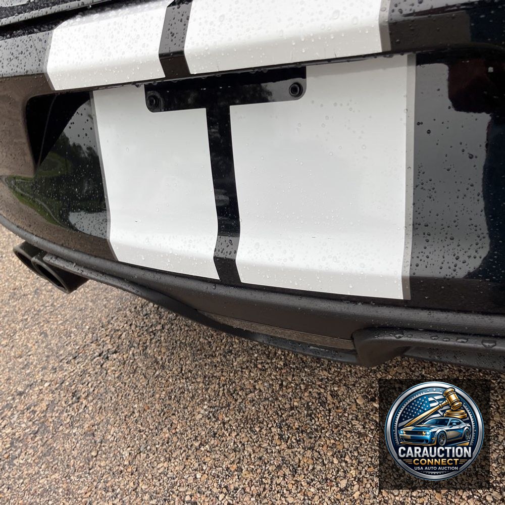 2019 Ford Mustang Shelby GT350