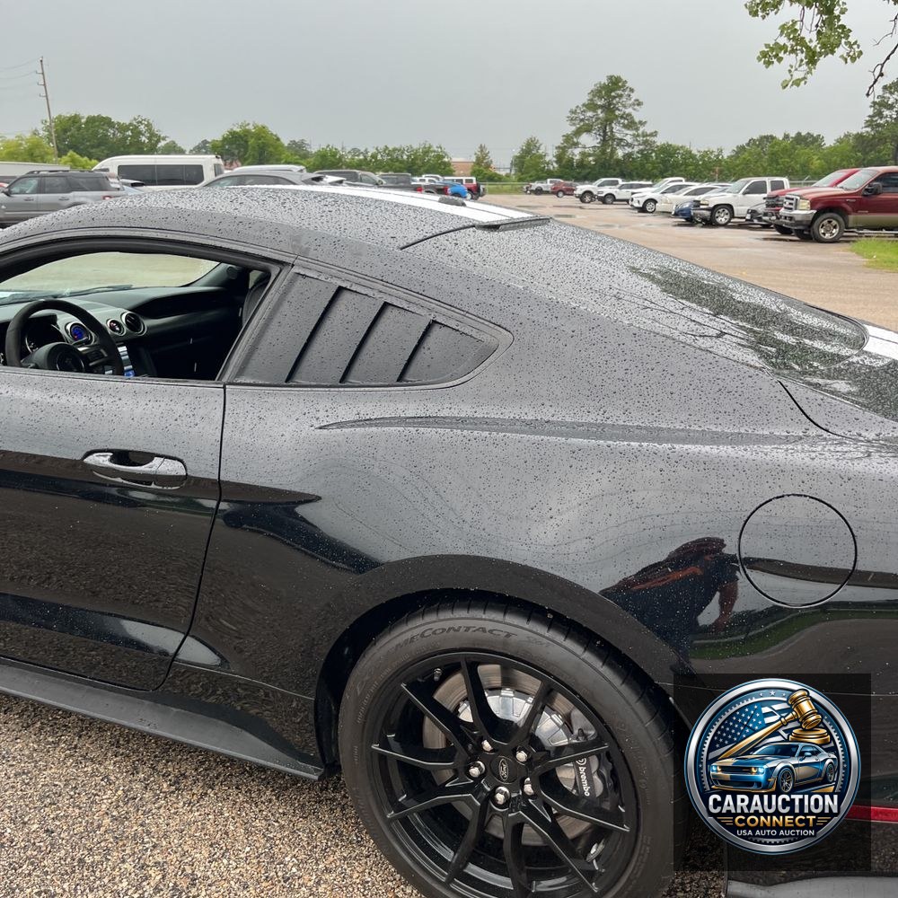 2019 Ford Mustang Shelby GT350