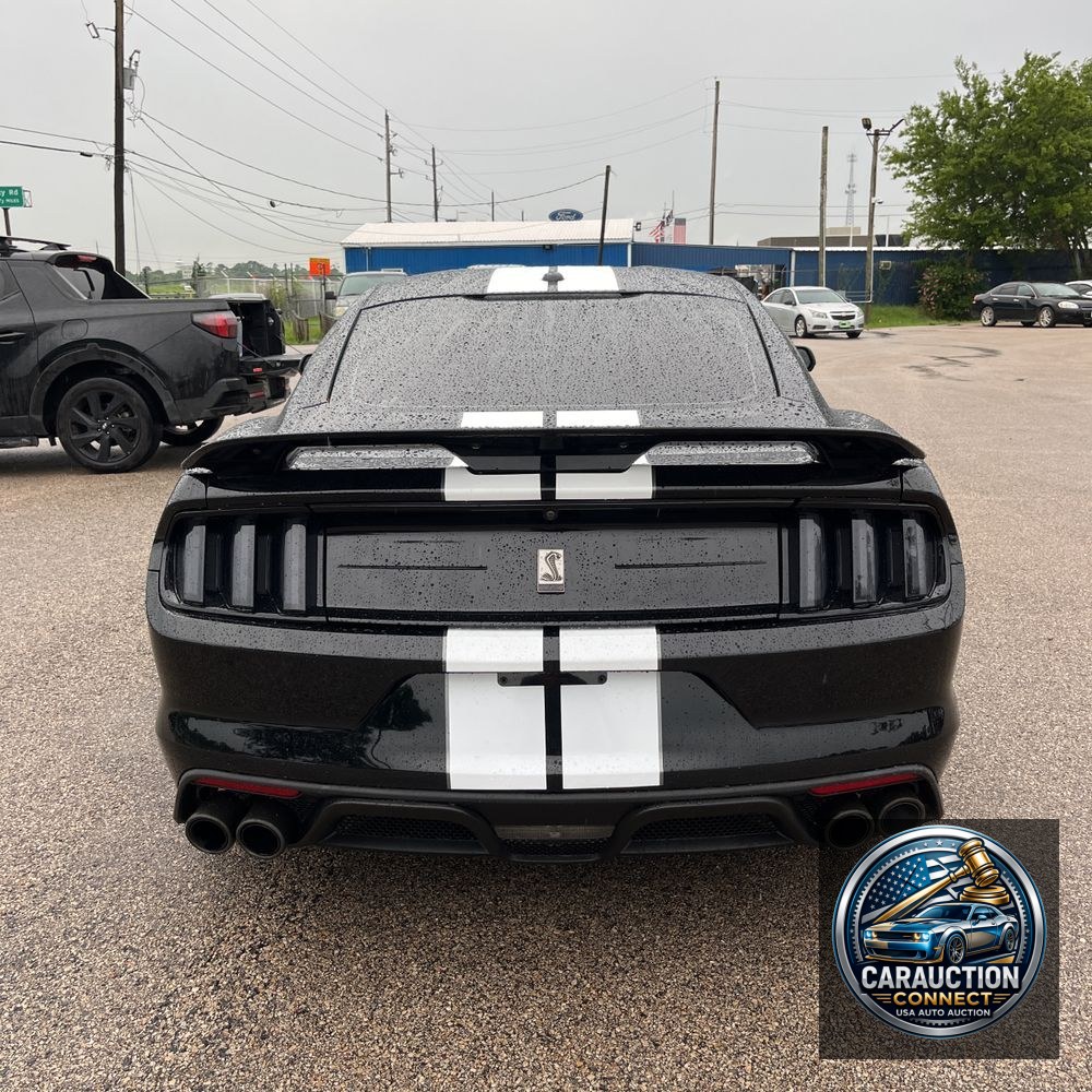 2019 Ford Mustang Shelby GT350