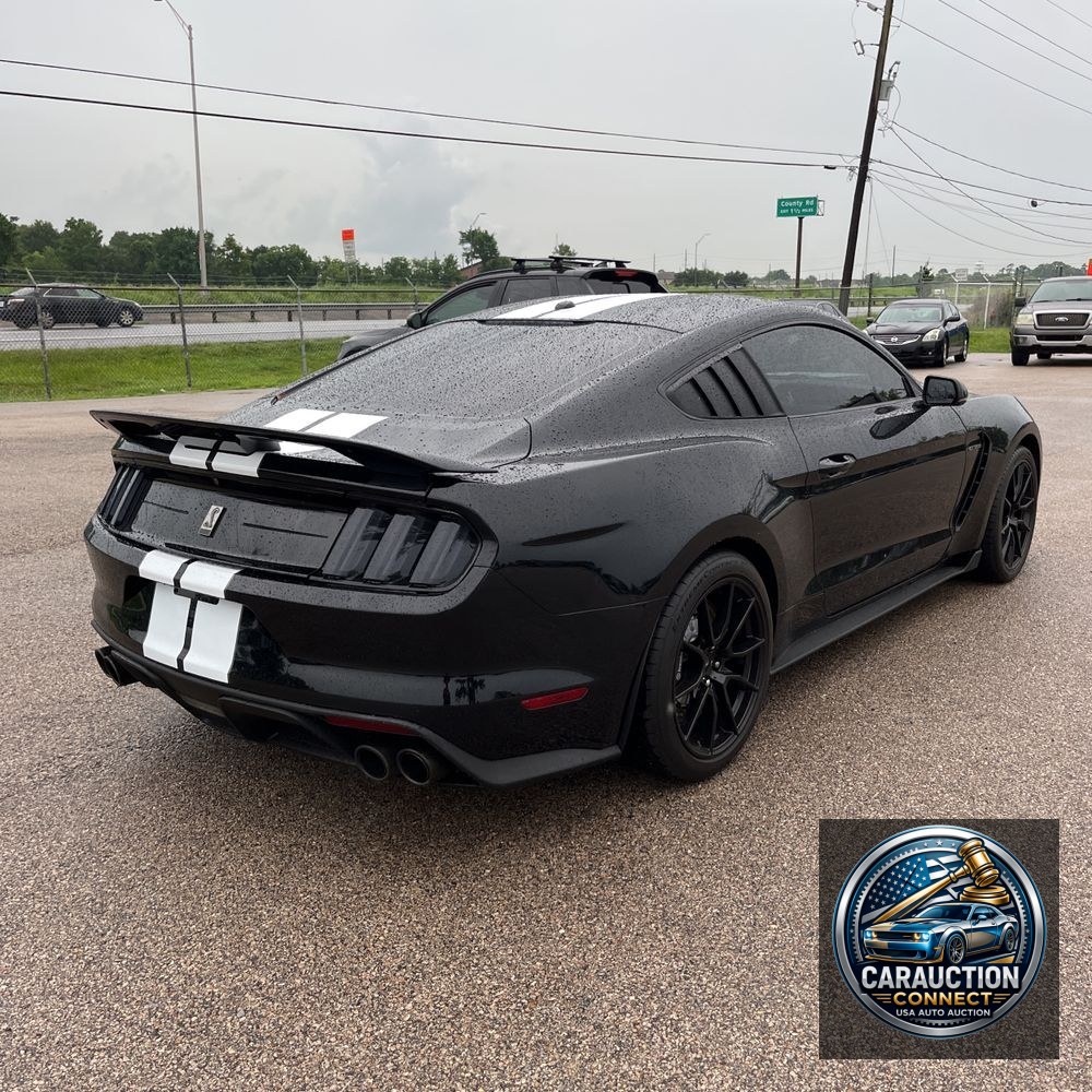 2019 Ford Mustang Shelby GT350