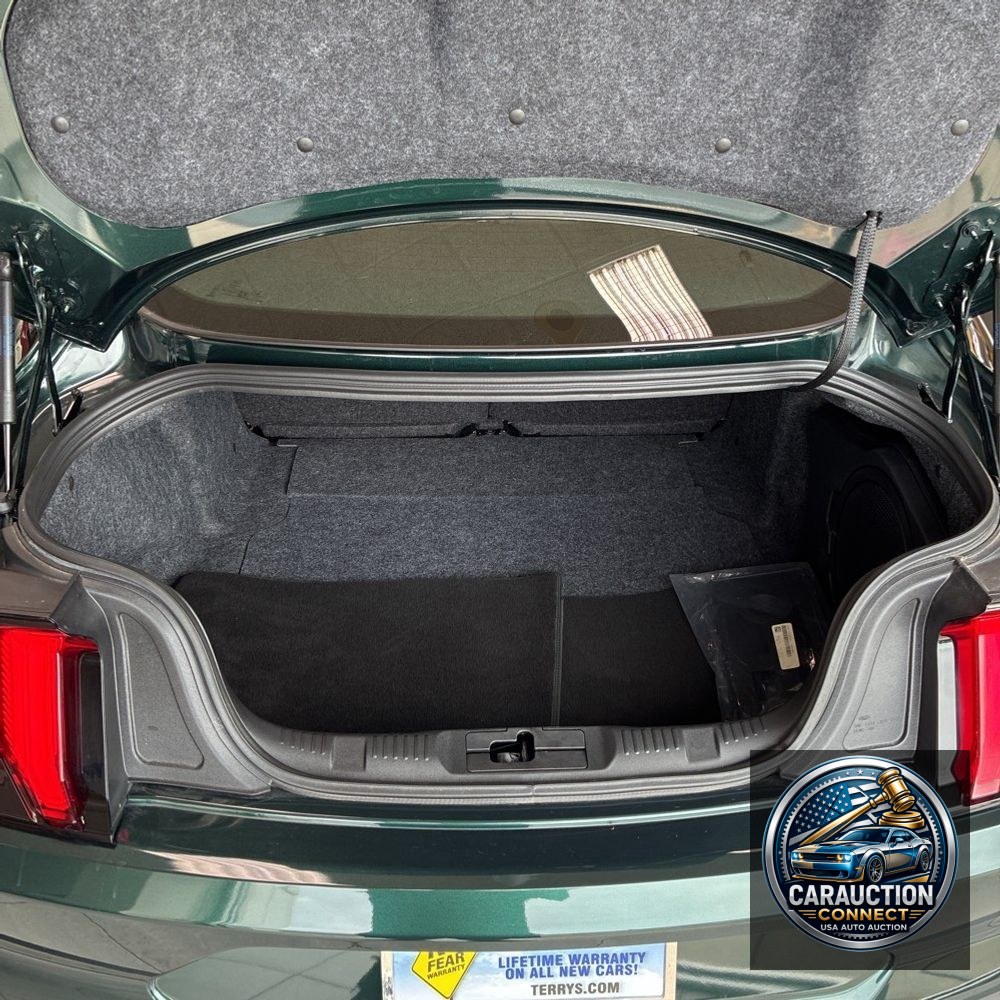 2019 Ford Mustang BULLITT