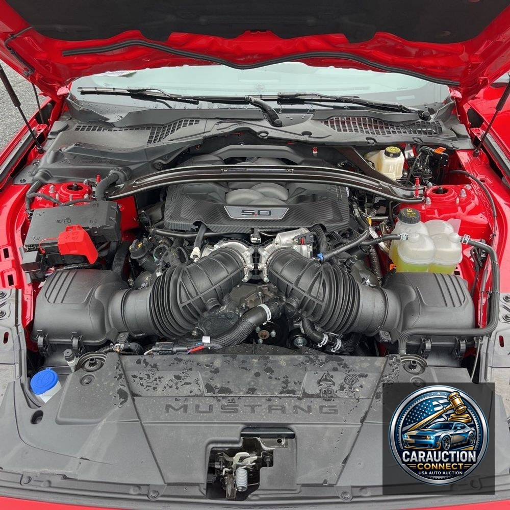 2024 Ford Mustang Dark Horse