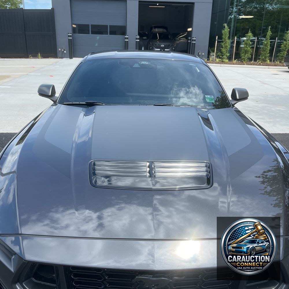 2024 Ford Mustang Dark Horse