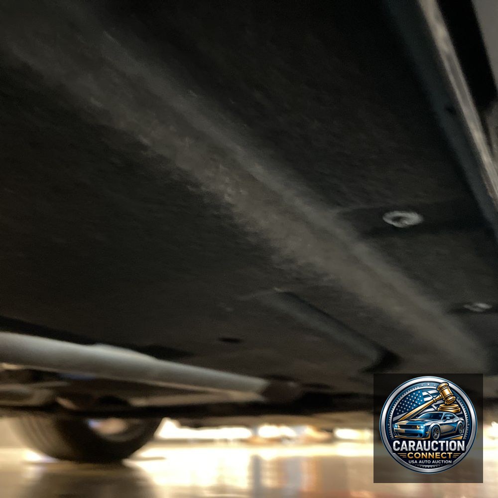 2024 Ford Mustang Dark Horse