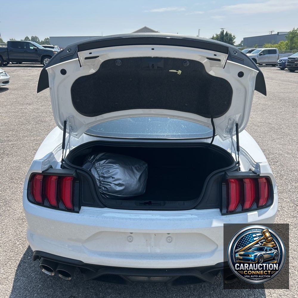 2021 Ford Mustang Mach 1