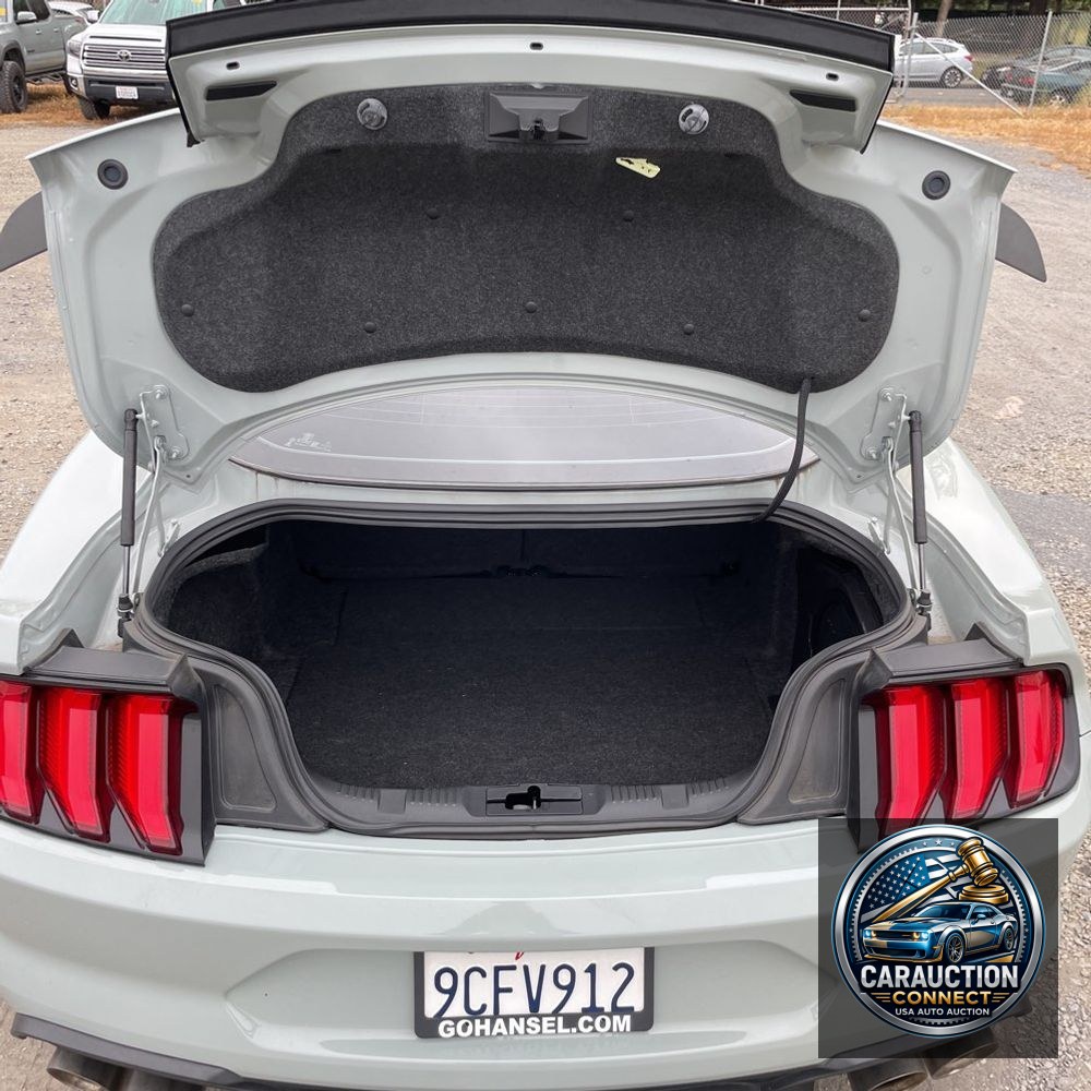 2022 Ford Mustang Mach 1