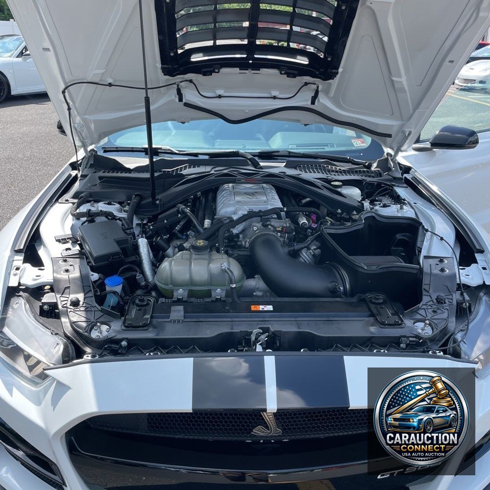 2021 Ford Mustang Shelby GT500