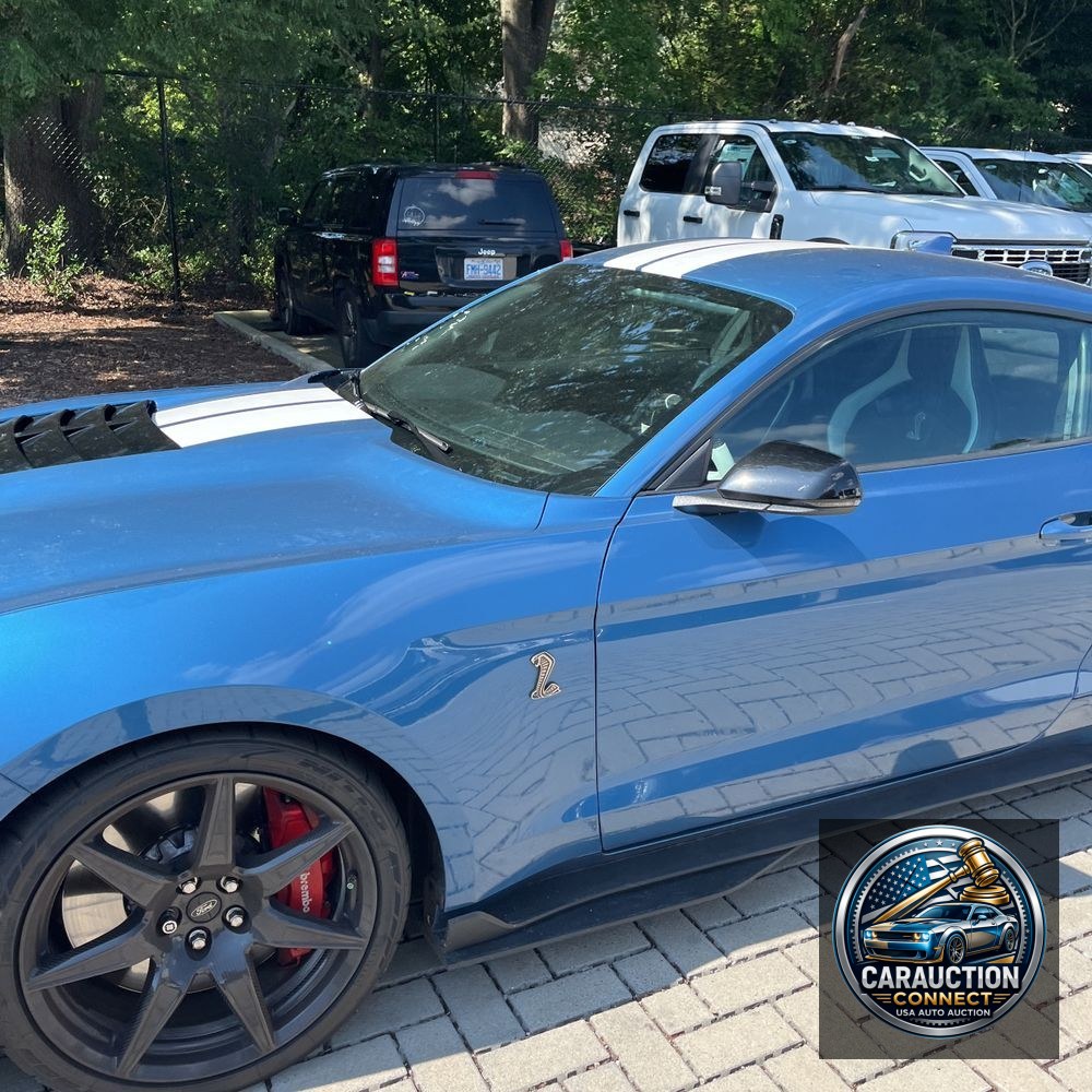 2021 Ford Mustang Shelby GT500