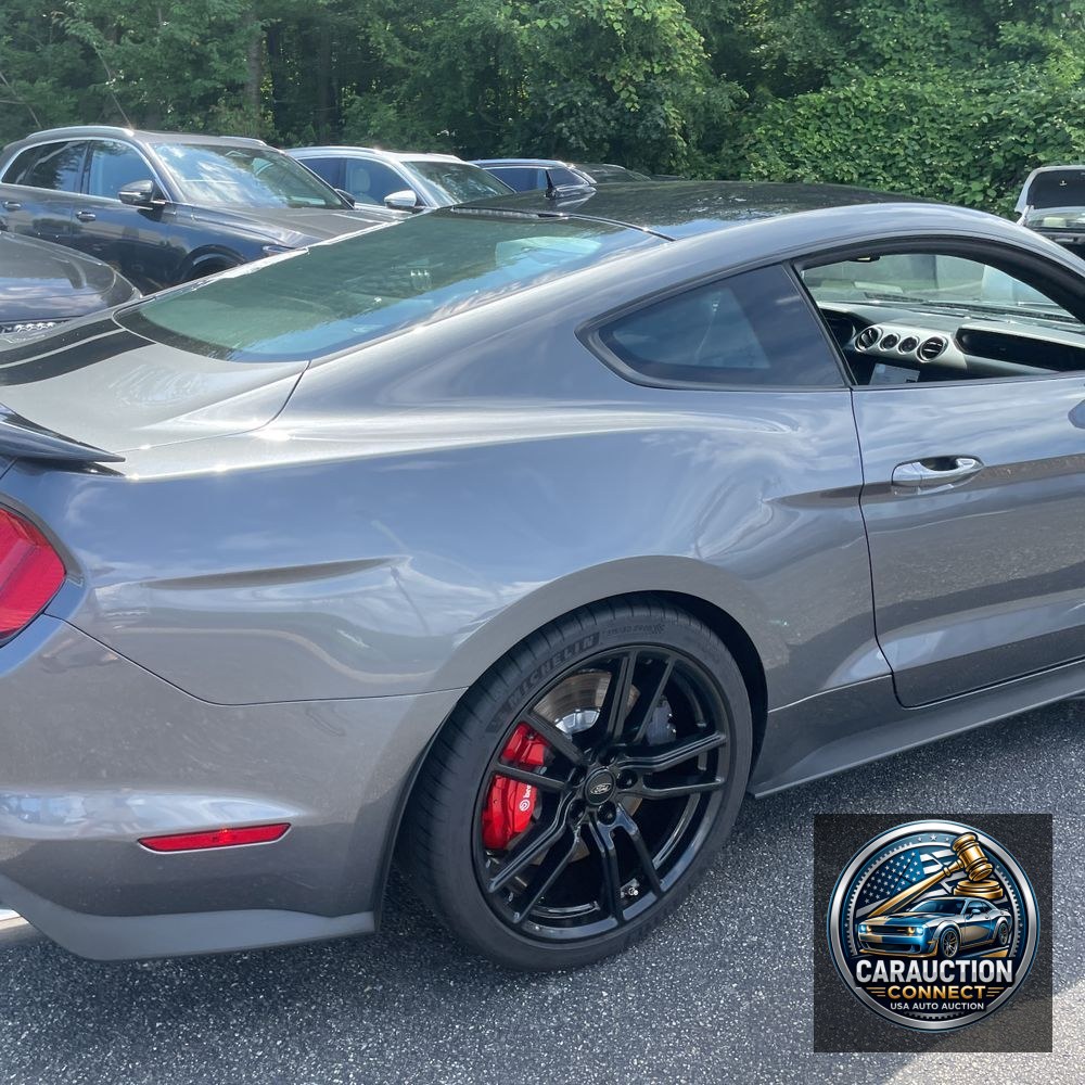 2022 Ford Mustang Shelby GT500