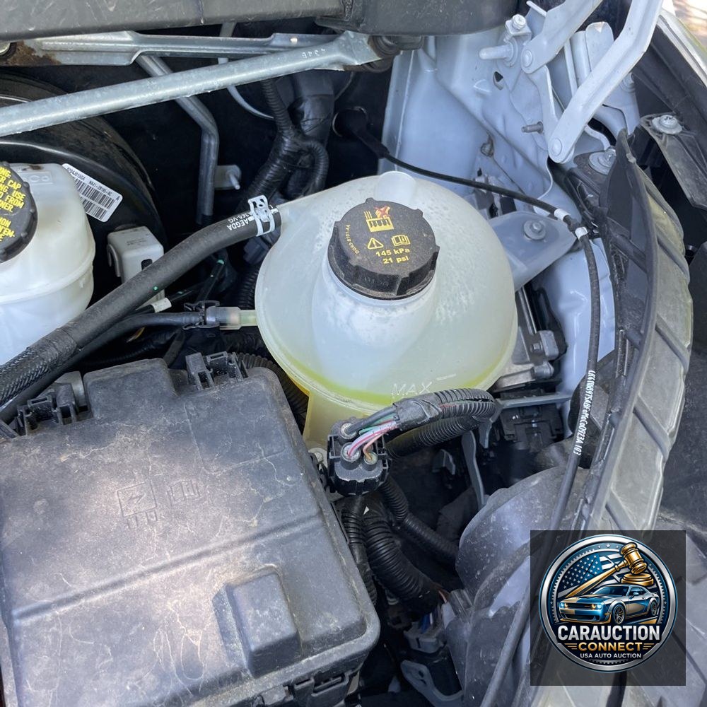 2024 Ford Transit 350 XLT