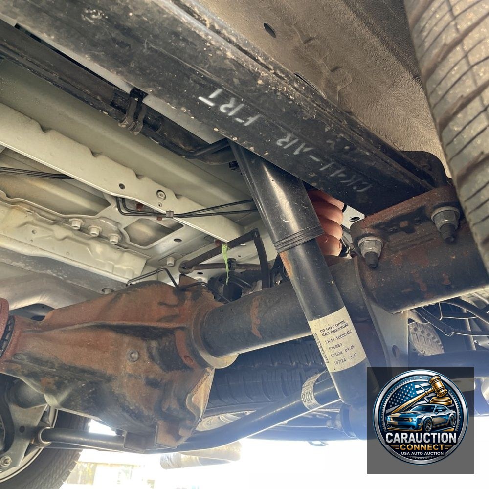 2024 Ford Transit 350 XLT