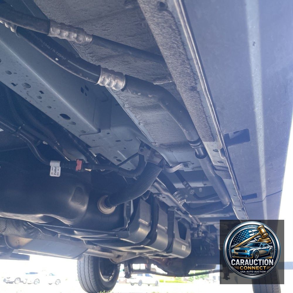 2024 Ford Transit 350 XLT