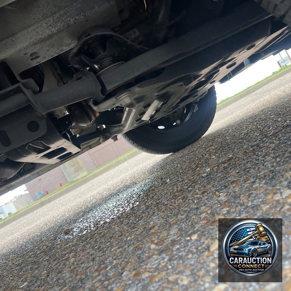 2024 Ford Transit 350 XLT