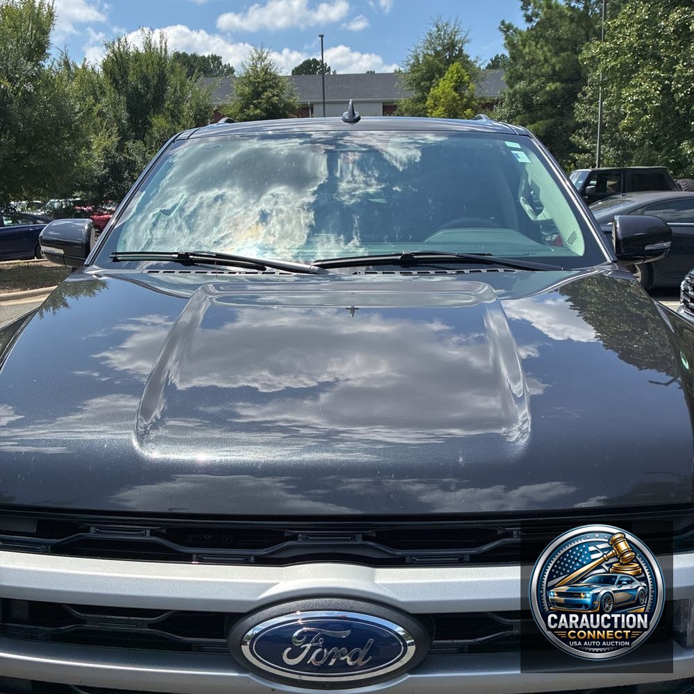 2024 Ford Expedition MAX XLT