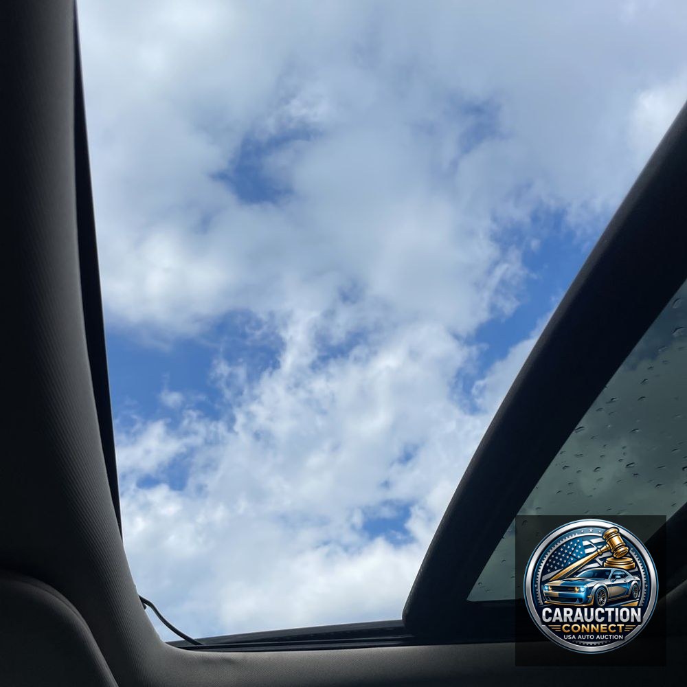 2022 Ford Expedition MAX XLT
