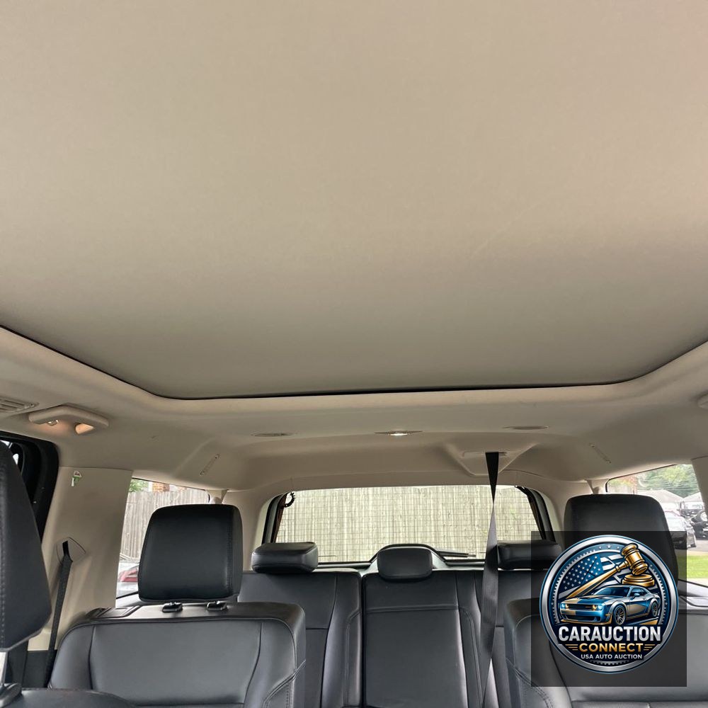 2022 Ford Expedition MAX XLT