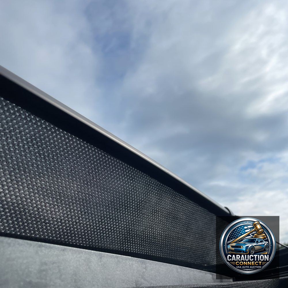 2024 Ford Expedition MAX Platinum