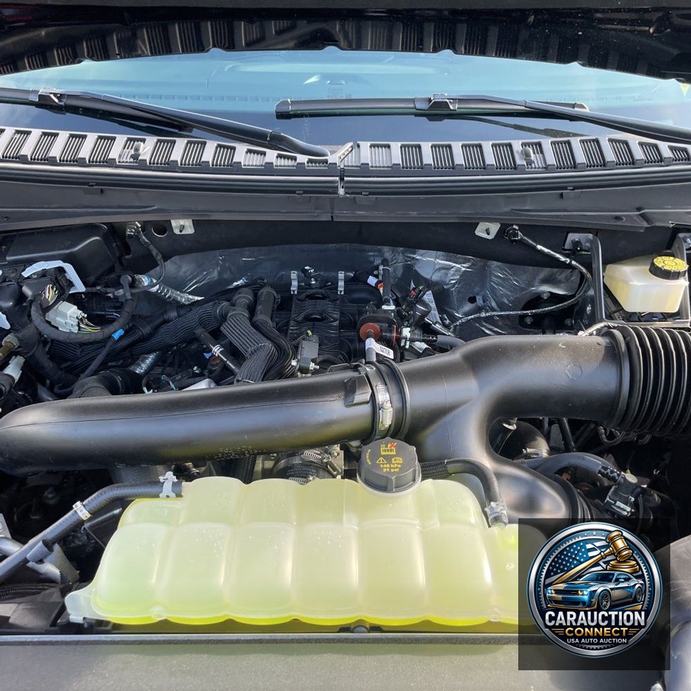 2024 Ford Expedition MAX Platinum