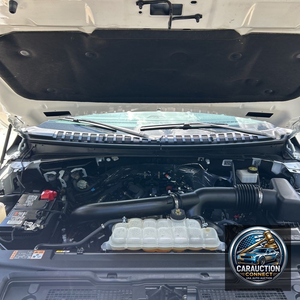2023 Ford Expedition MAX Platinum