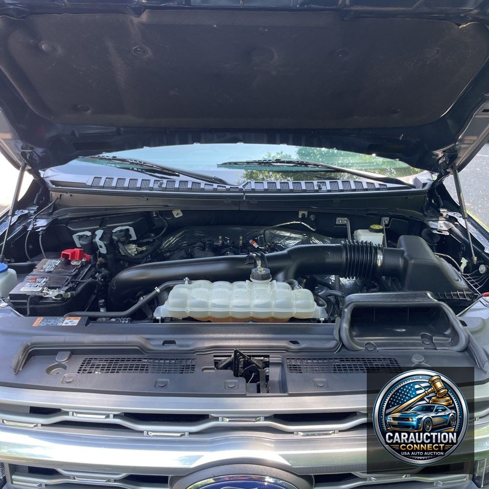 2023 Ford Expedition MAX Platinum