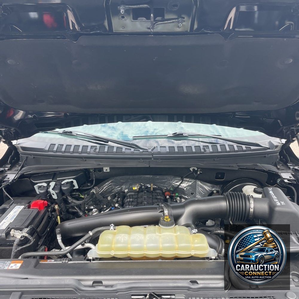 2021 Ford Expedition MAX Platinum