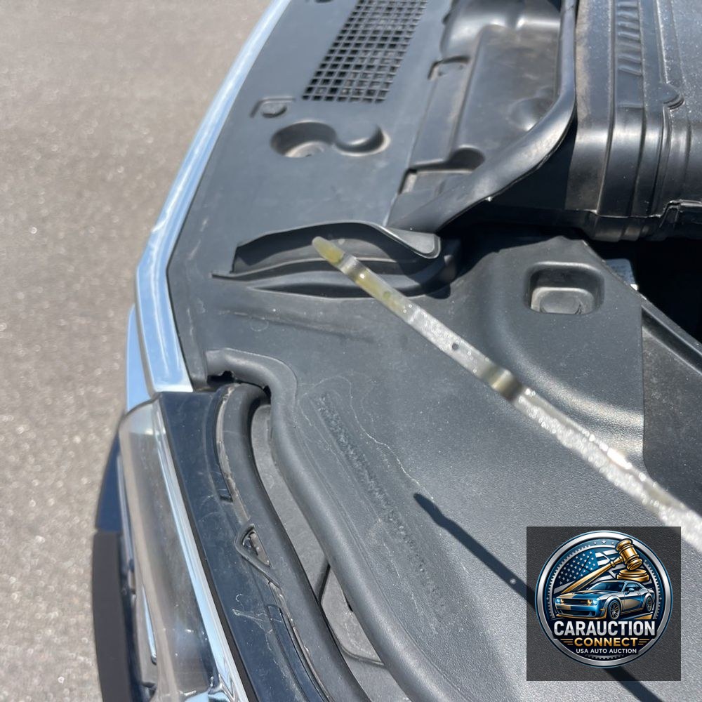 2021 Ford Expedition MAX King Ranch