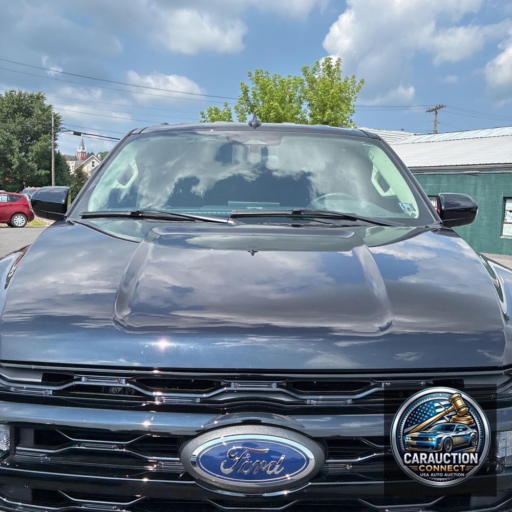 2024 Ford Expedition XL STX