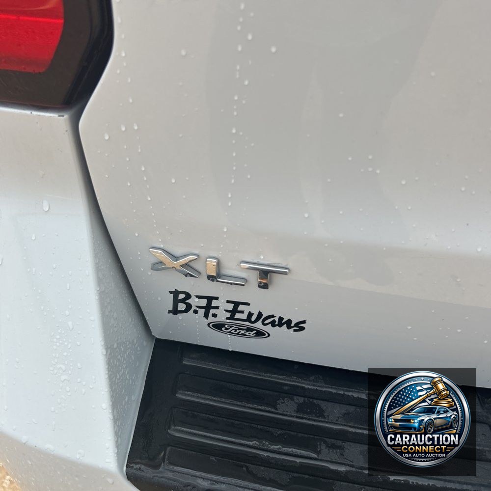 2024 Ford Expedition XLT