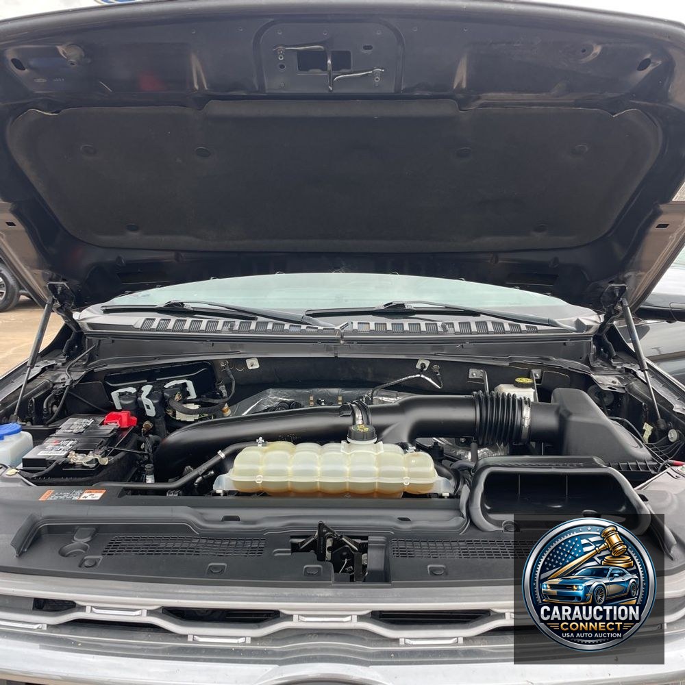 2022 Ford Expedition Platinum