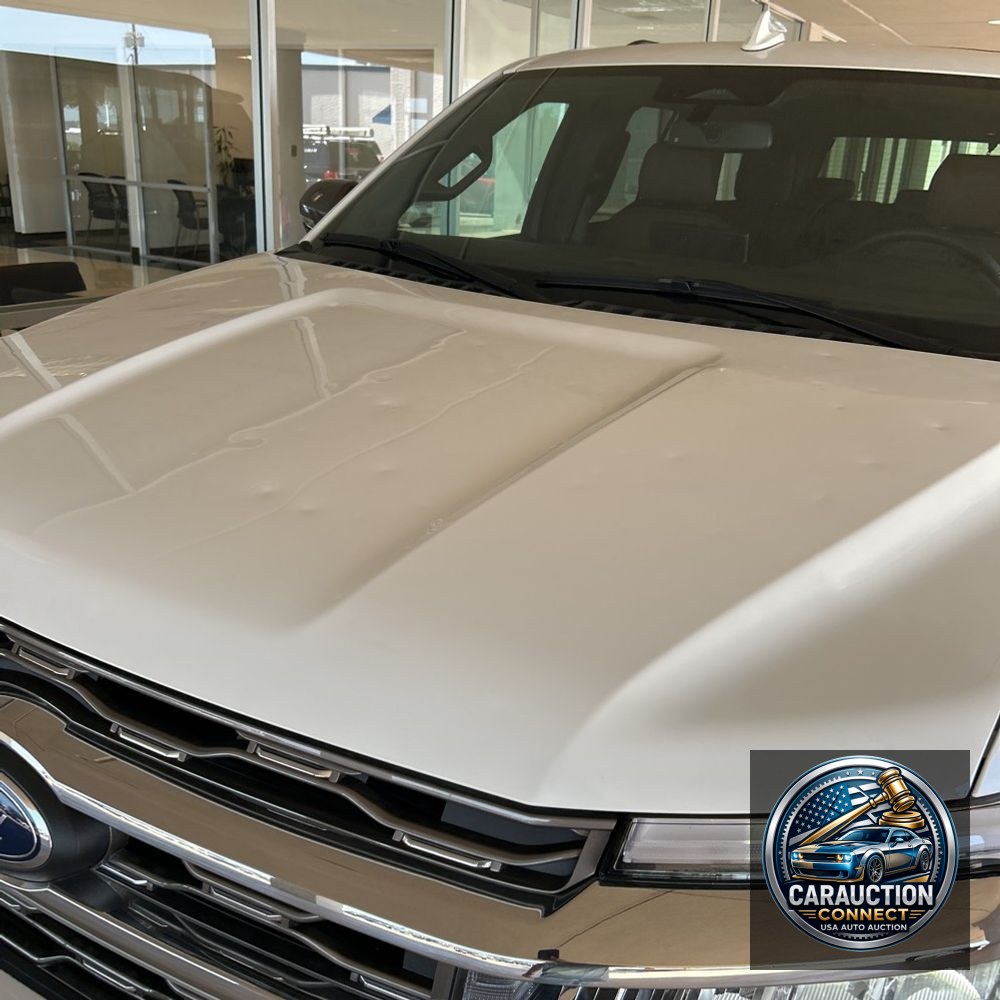 2024 Ford Expedition King Ranch