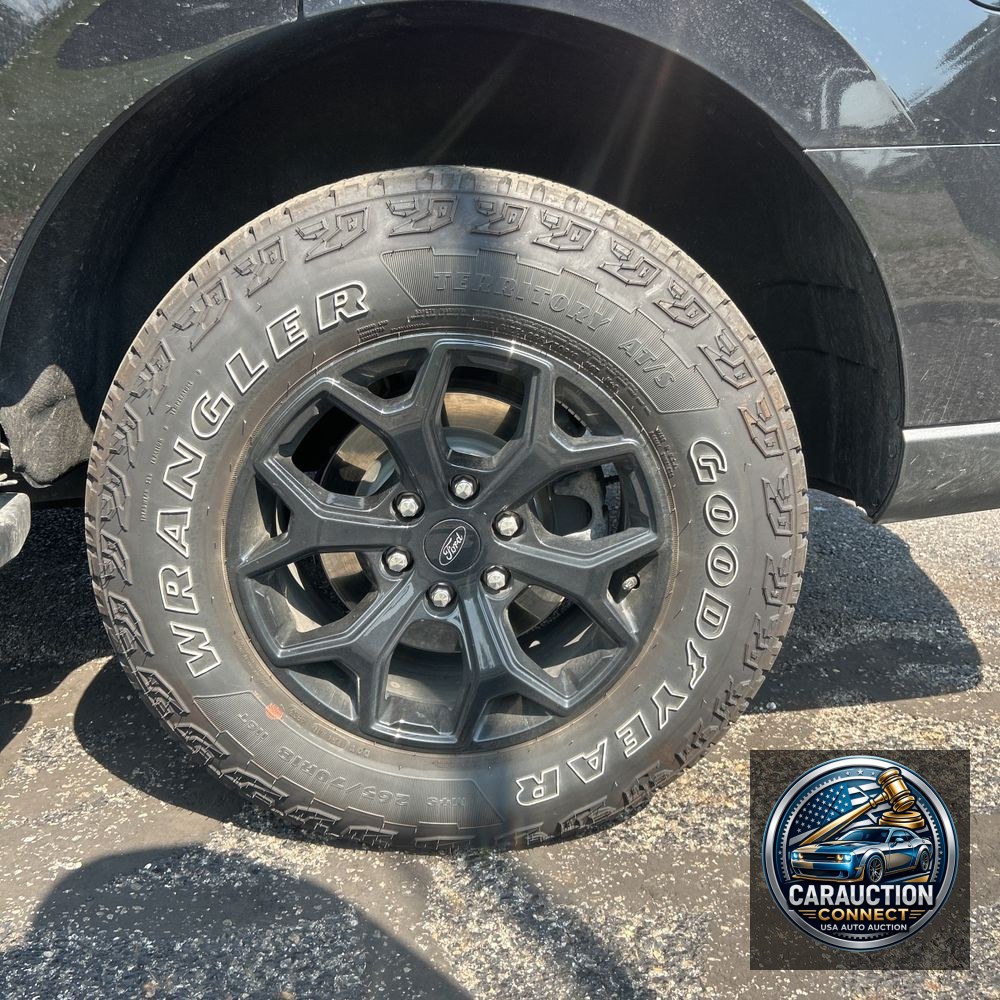 2024 Ford Expedition Timberline