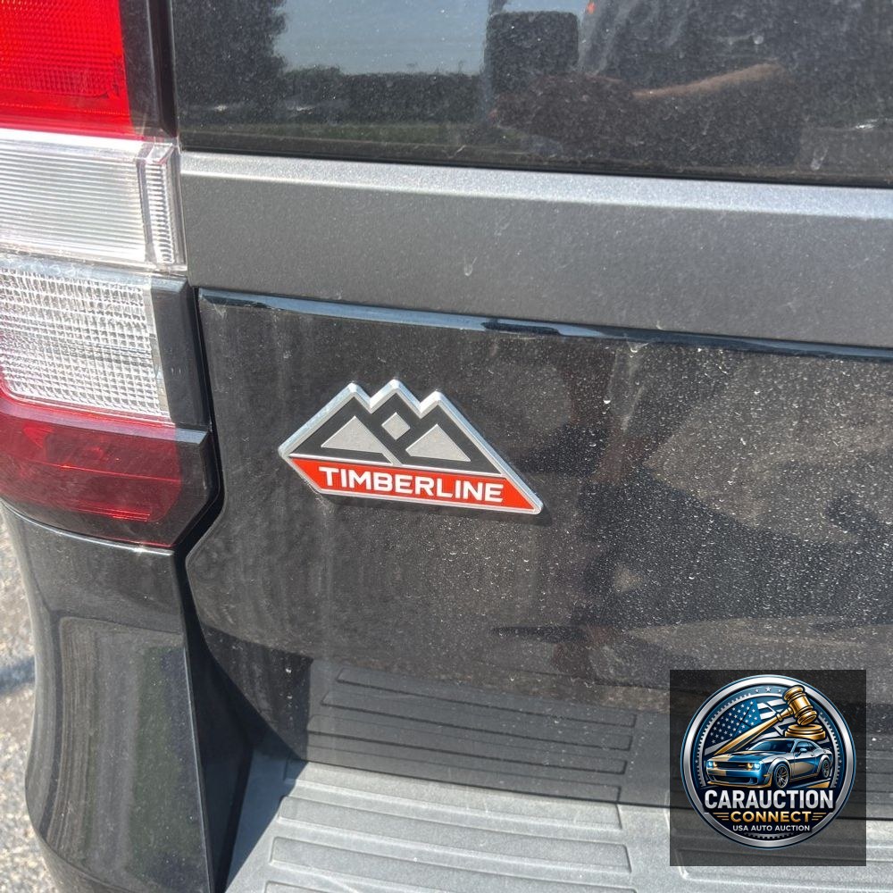 2024 Ford Expedition Timberline