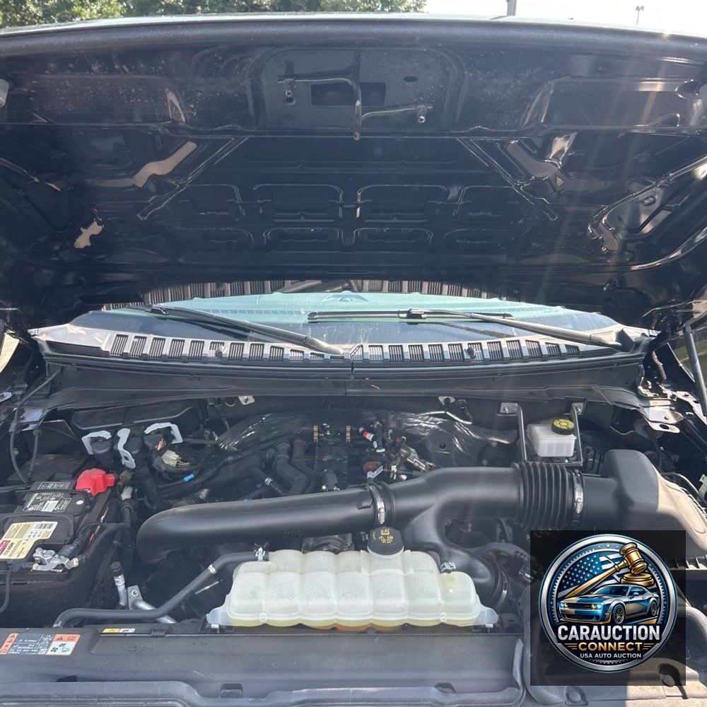 2024 Ford Expedition Timberline