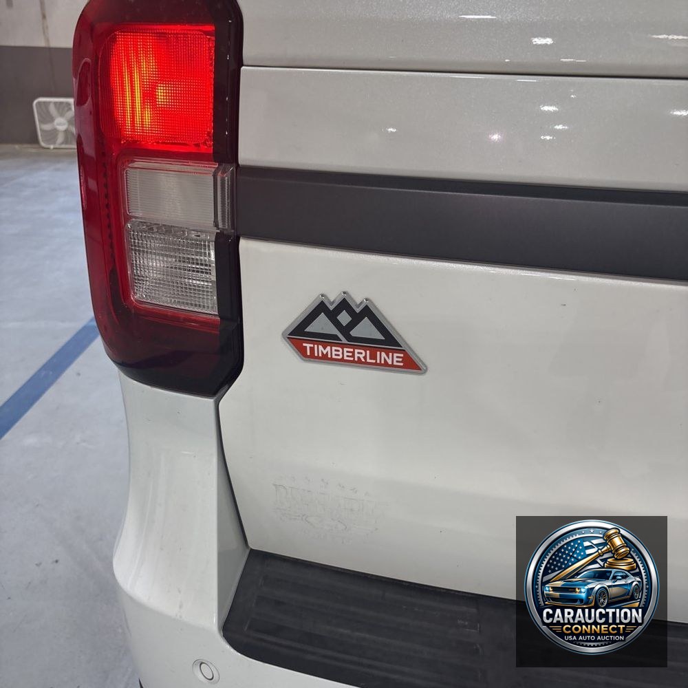 2024 Ford Expedition Timberline