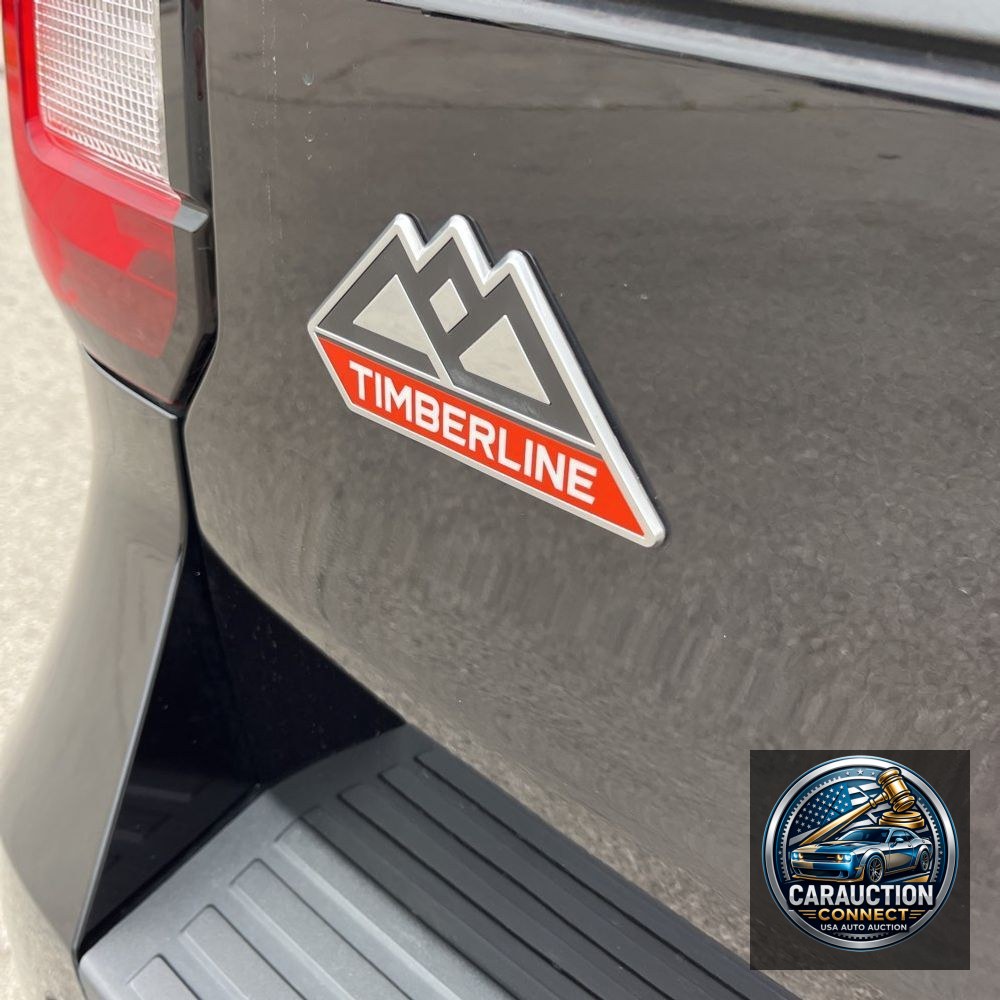 2022 Ford Expedition Timberline